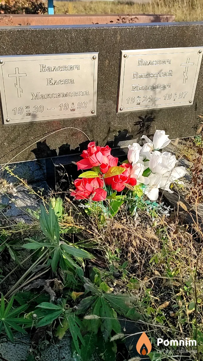 Валевич Елена Maксимовна