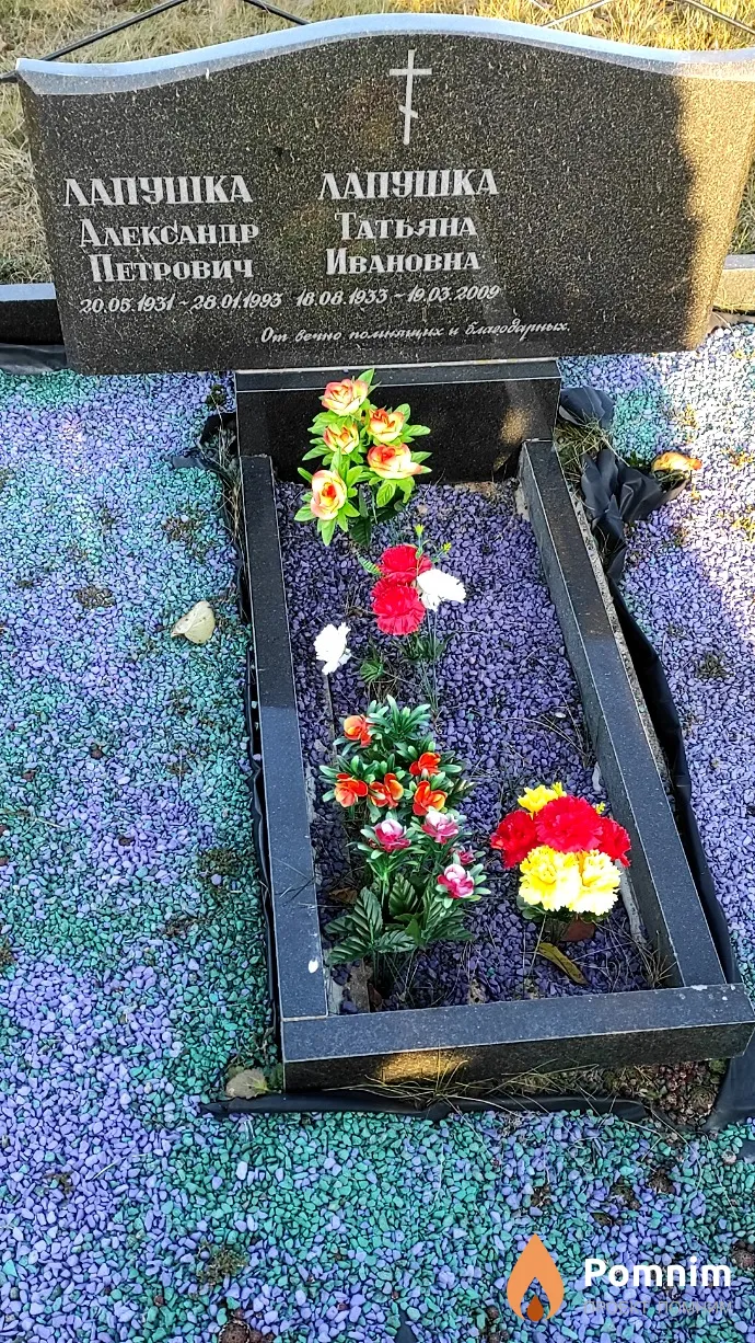 Лапушка Александр Петрович