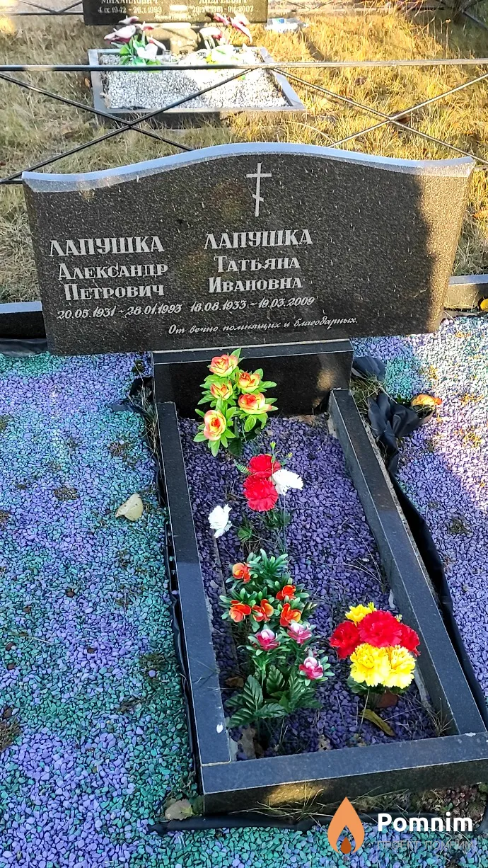 Лапушка Татьяна Ивановна