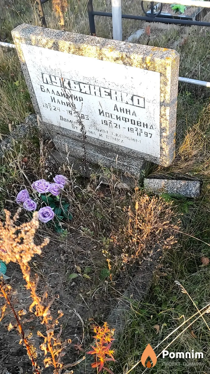 Лукьяненко Владимир Ильич