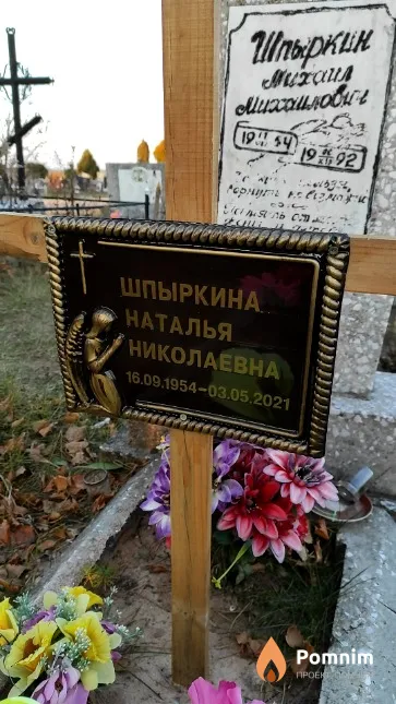 Шпыркина Наталья Николаевна