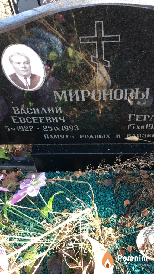 Миронов Василий Евсеевич