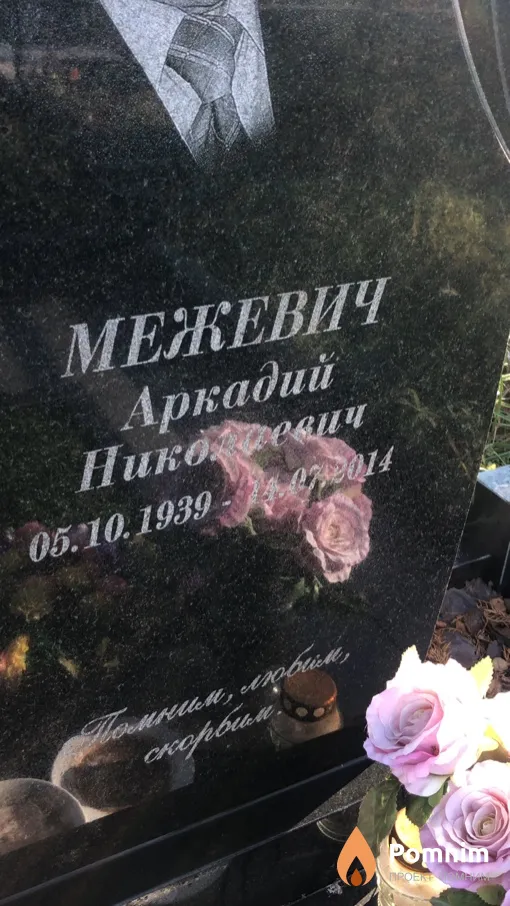 Межевич Аркадий Николаевич