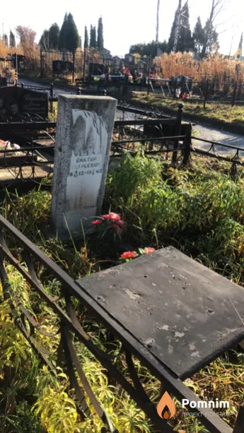 Муха Виктор Андреевич