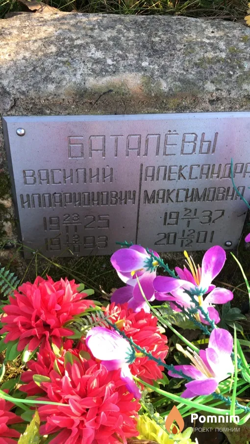 Баталев Василий Илларионович