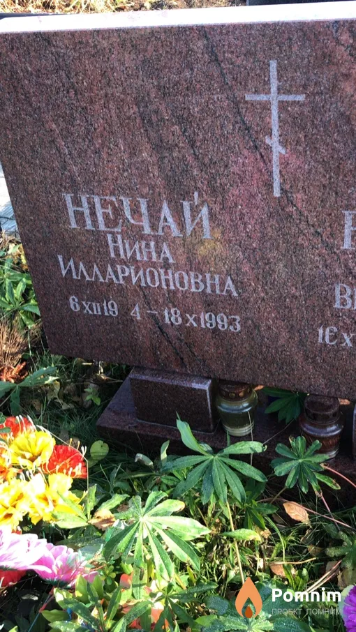 Нечай Нина Илларионовна