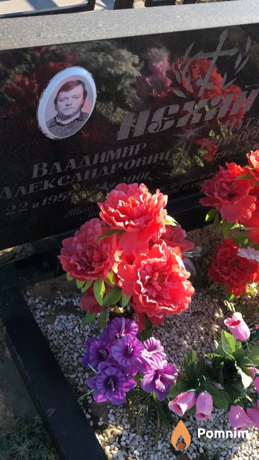 Нехай Владимир Александрович
