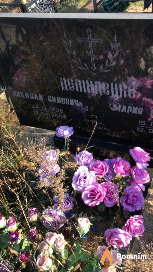 Демиденко Николай Силович