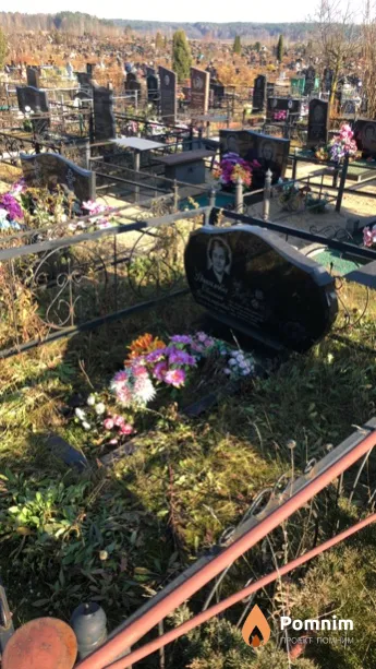 Дикалова Евгения Владимировна