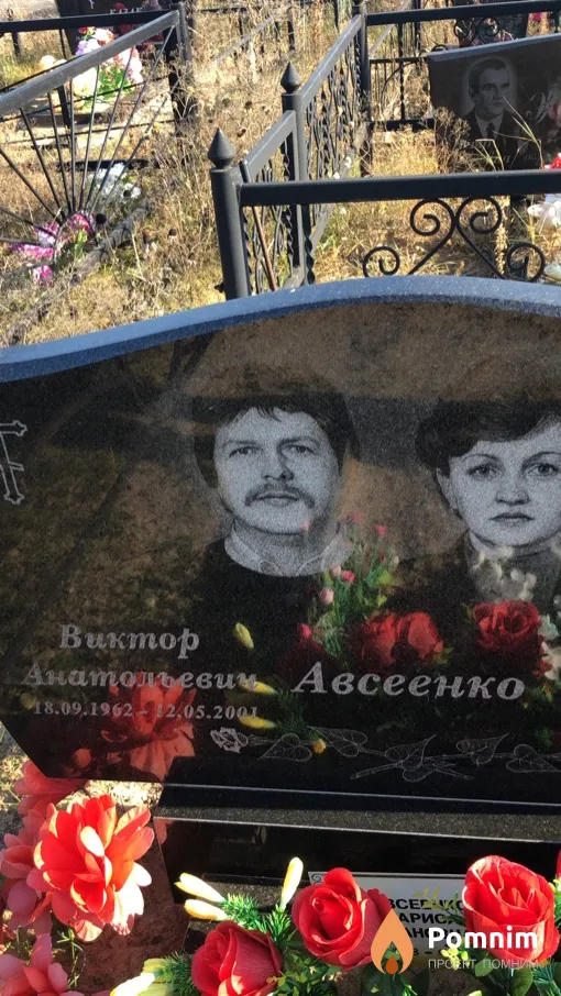 Авсеенко Виктор Анатольевич