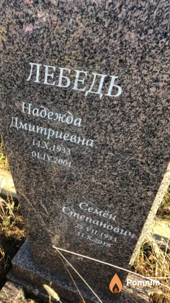 Лебедь Семен Степанович