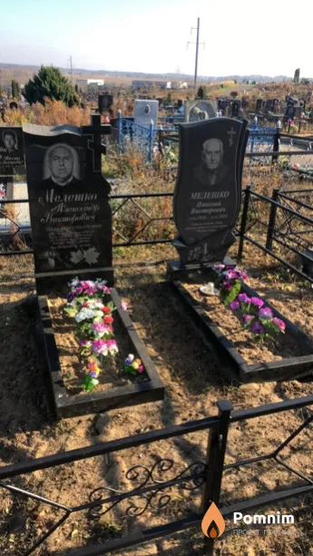 Мелешко Николай Викторович