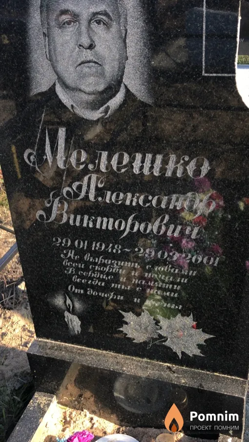 Мелешко Александр Викторович