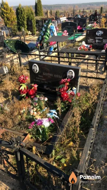 Борисова Анна Сергеевна