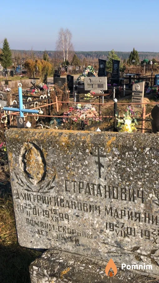 Стратанович Дмитрий Иванович