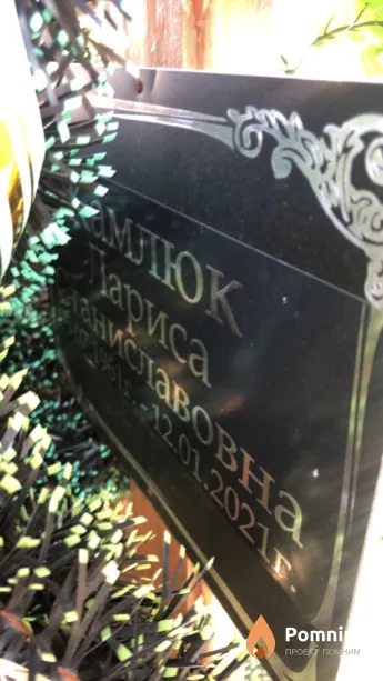Камлюк Лариса Станиславовна