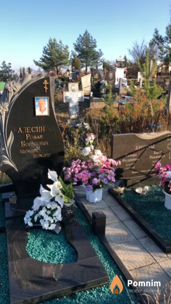 Алесин Роман Борисович