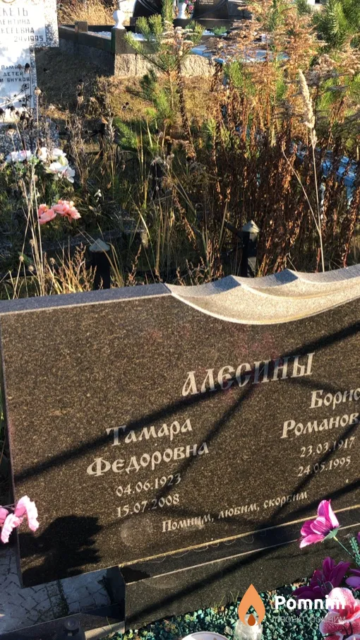 Алесина Тамара Федоровна