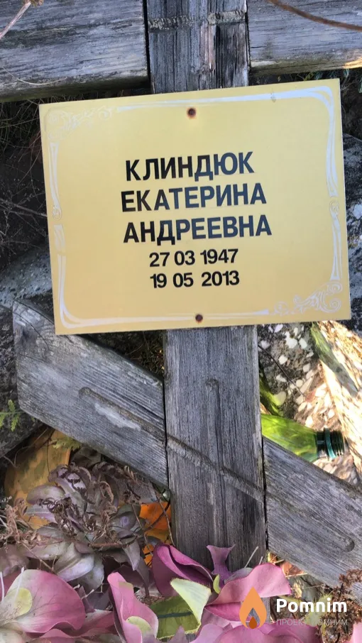 Клиндюк Екатерина Андреевна
