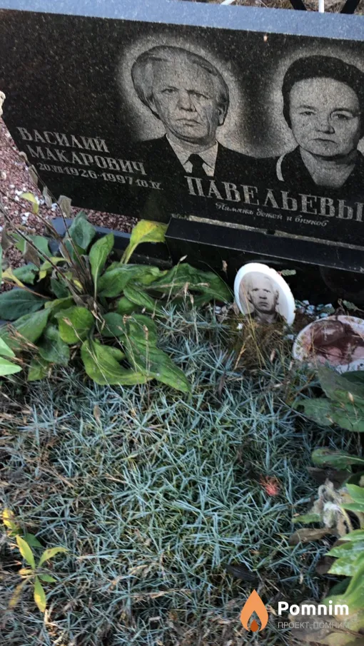 Павельев Василий Макарович
