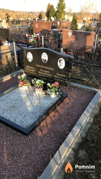 Молчанова Полина Васильевна
