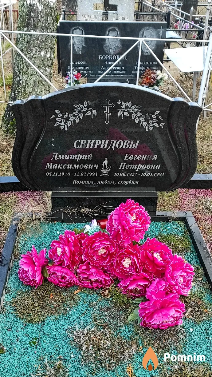 Свиридов Дмитрий Максимович