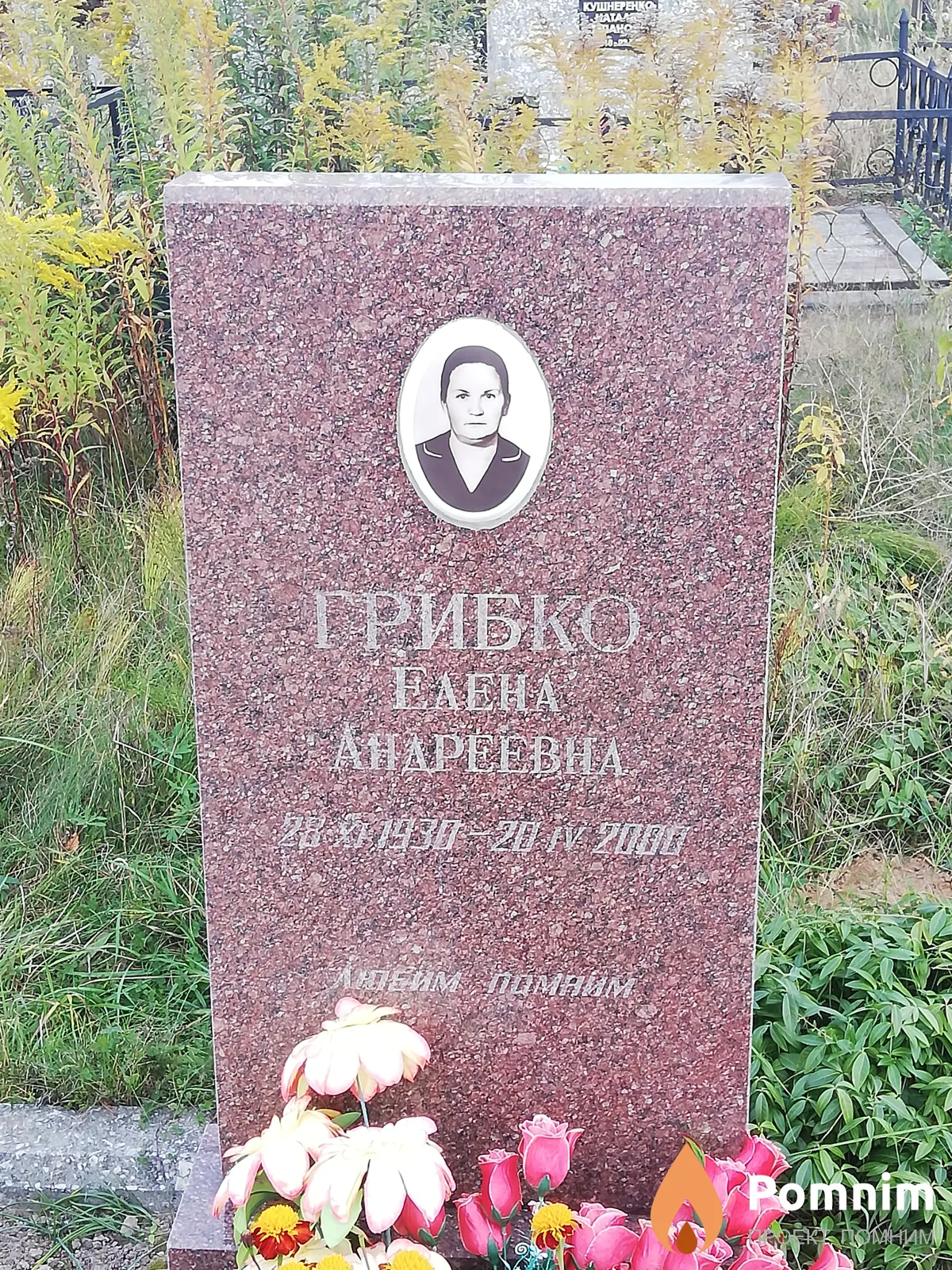 Грибко Елена Андреевна