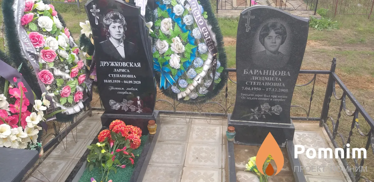 Дружковская Лариса Степановна