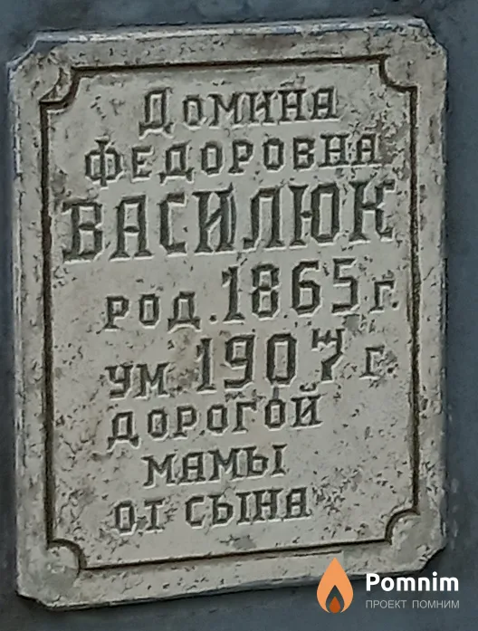 Василюк Домина Федоровна