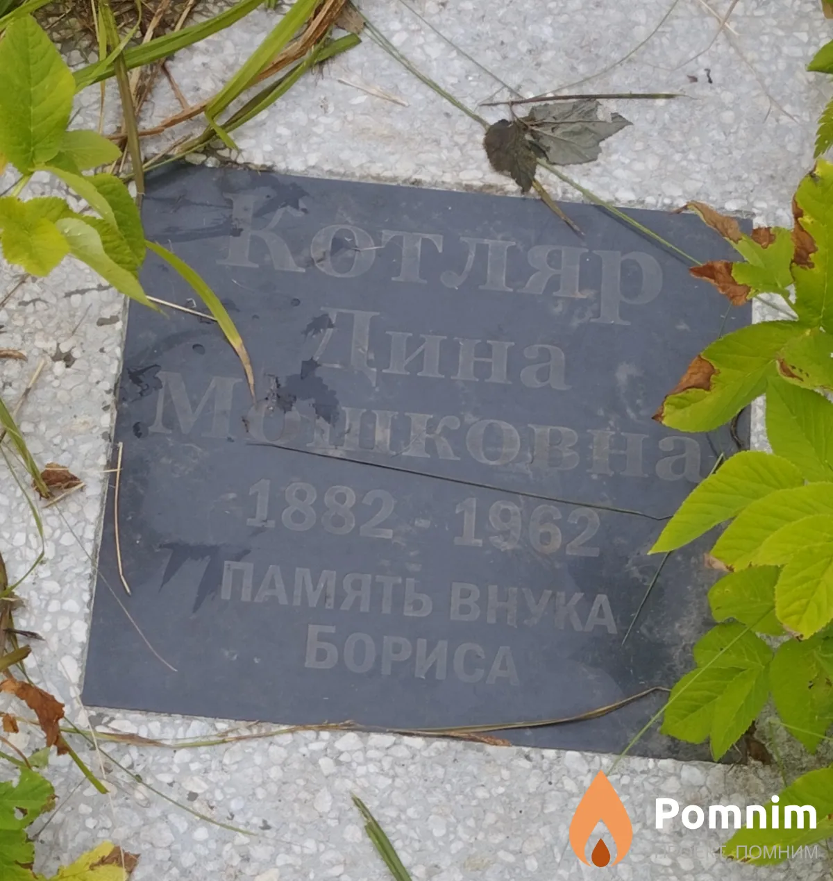 Котляр Дина Мошковна
