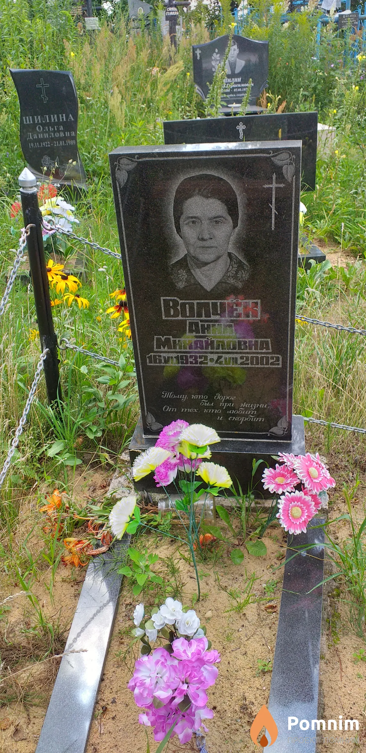 Волчек Анна Михайловна