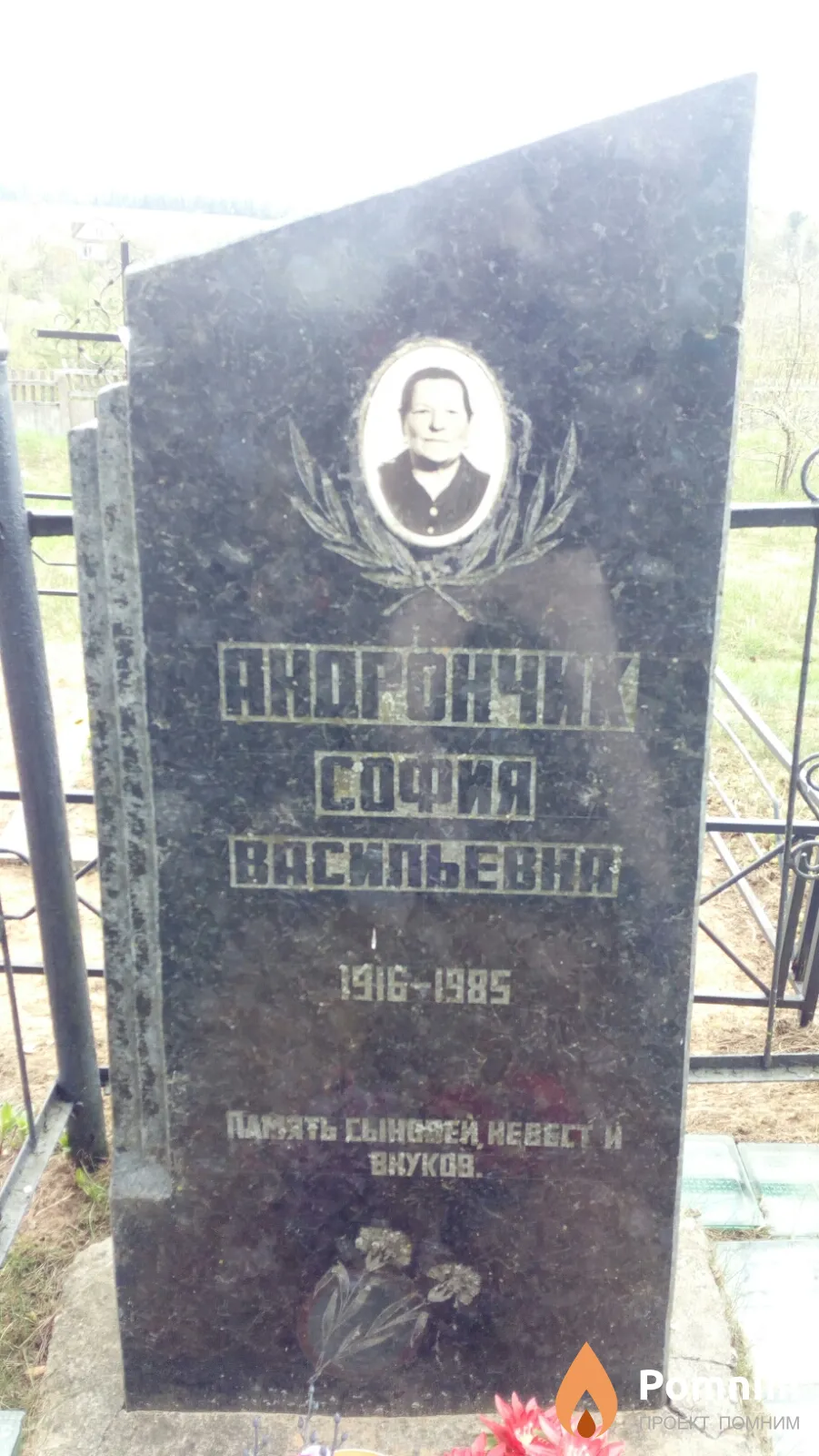 Андрончик София Васильевна