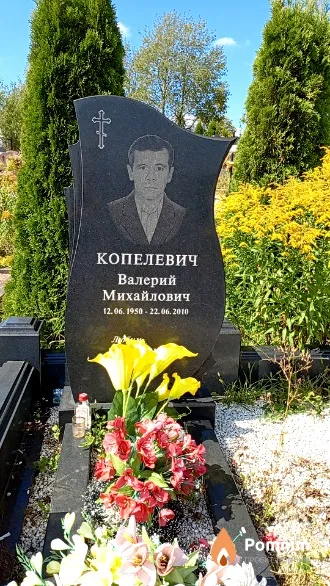 Копелевич Валерий Михайлович