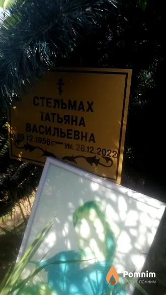 Стельмах Татьяна Васильевна