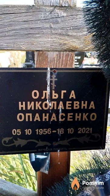 Опанасенко Ольга Николаевна