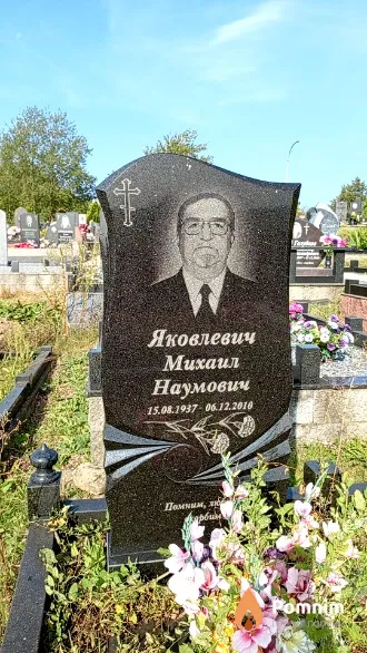 Яковлевич Михаил Наумович