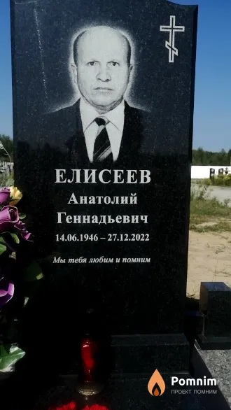 Елисеев Анатолий Геннадьевич