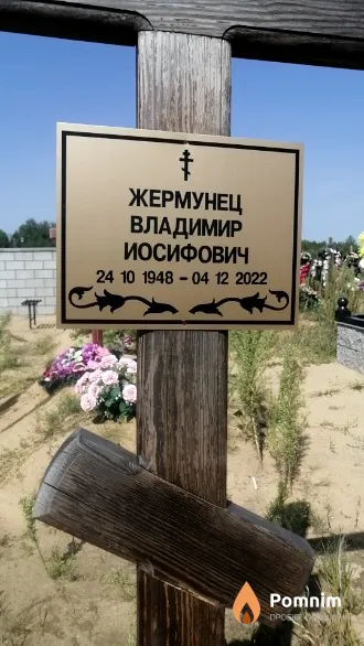 Жермунец Владимир Иосифович