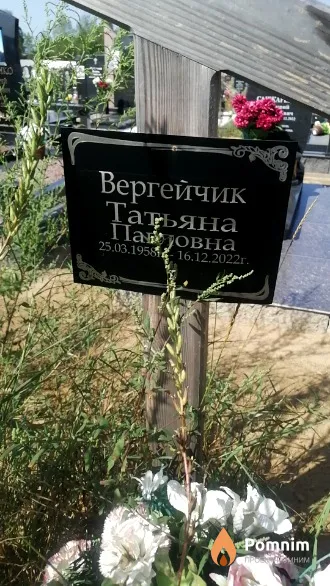 Вергейчик Татьяна Павловна