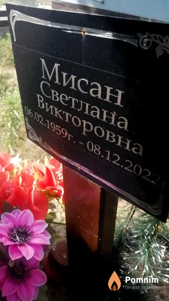 Мисан Светлана Викторовна