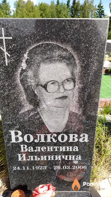 Волков Николай Иванович