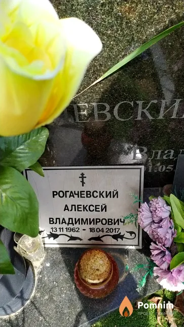 Рогачевская Анна Владимировна