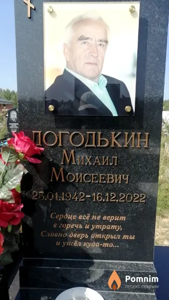 Догодькин Михаил Моисеевич