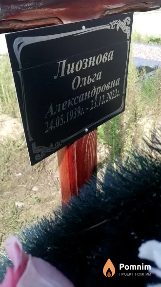 Лиознова Ольга Александровна