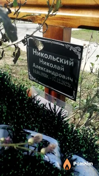 Никольский Николай Александрович
