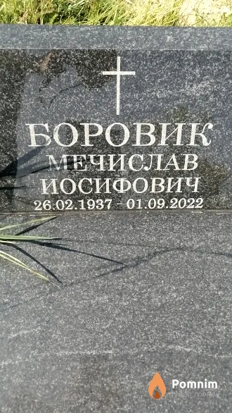 Боровик Мечислав Иосифович