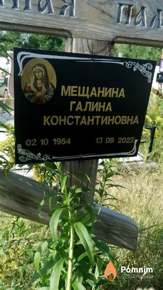 Мещанина Галина Константиновна
