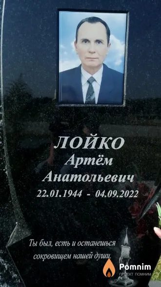 Лойко Артём Анатольевич