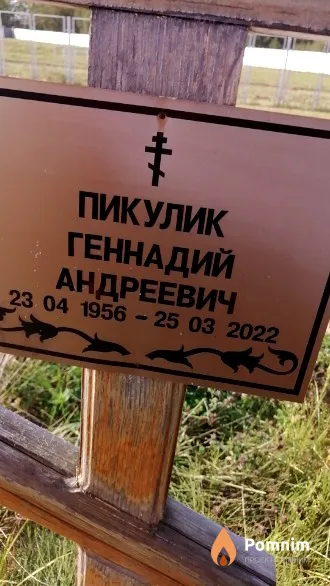 Пикулик Геннадий Андреевич