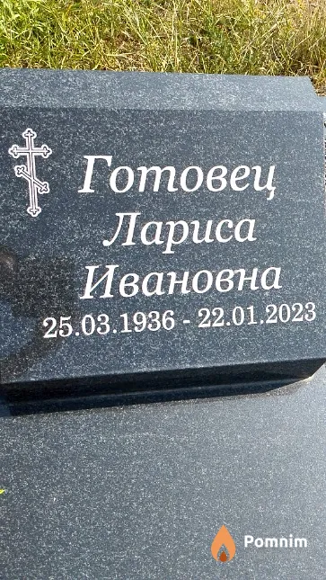 Готовец Лариса Ивановна